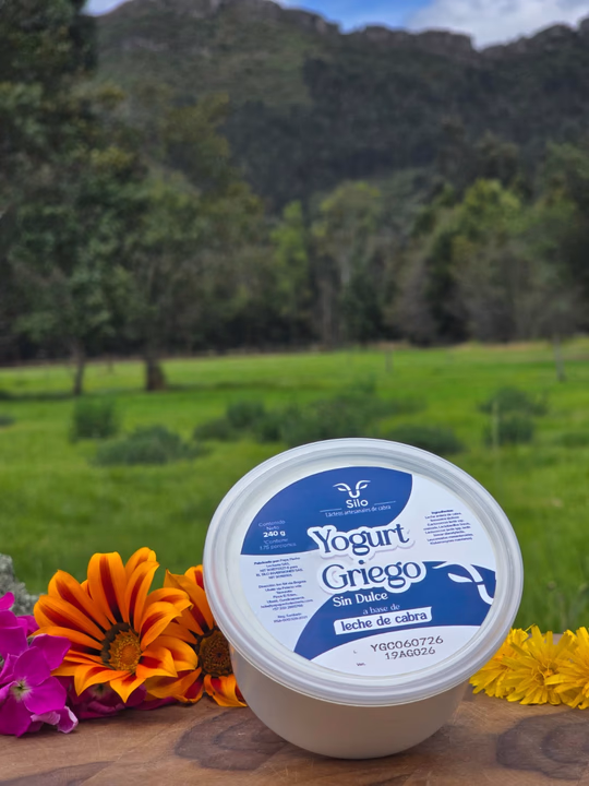 Yogurt griego sin dulce a base de leche de cabra, presentación de 240 gramos, Lacteos de Cabra El Silo, Ubaté